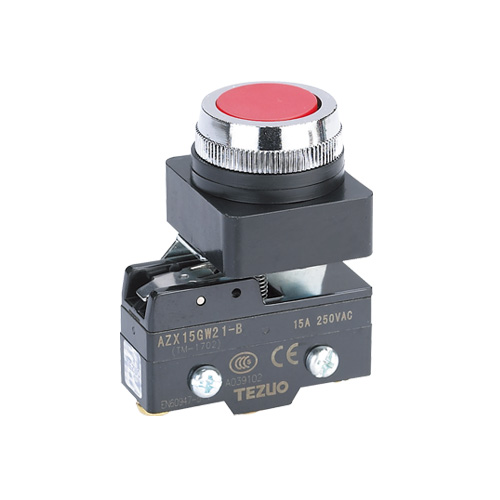 按钮开关（附微动开关型）